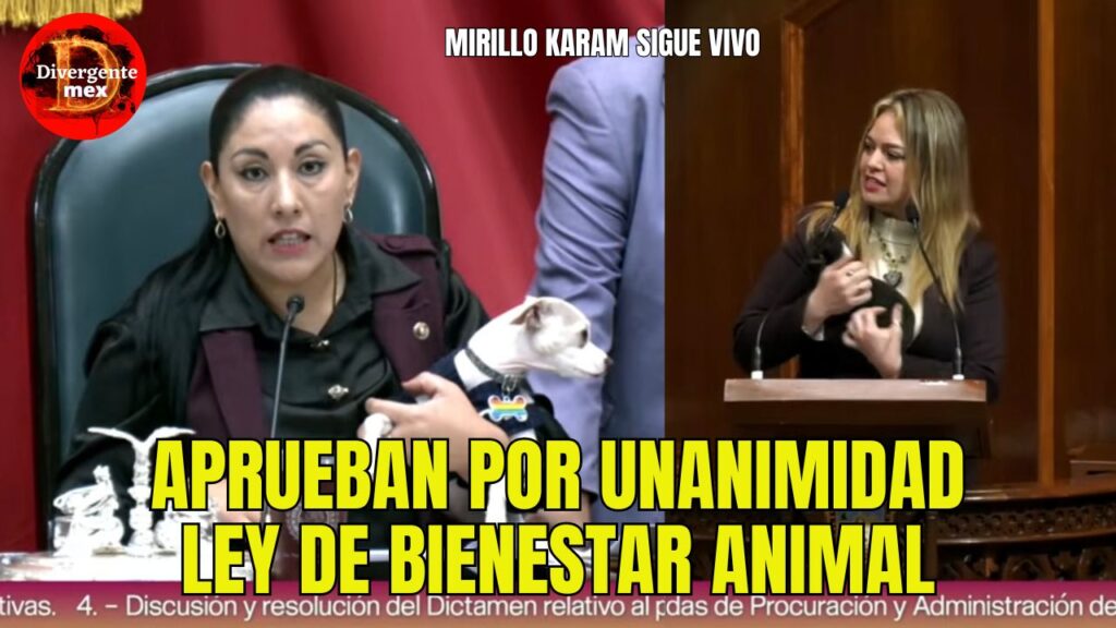 ley de bienestar animal