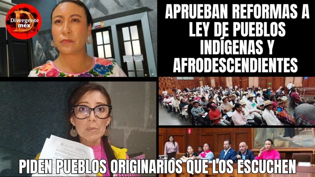 portada foro indigena
