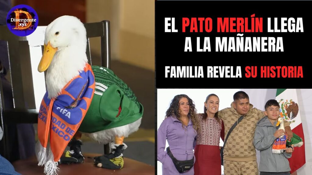 PORTADA PATO