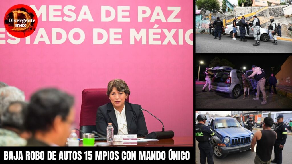 portada baja robo de autos