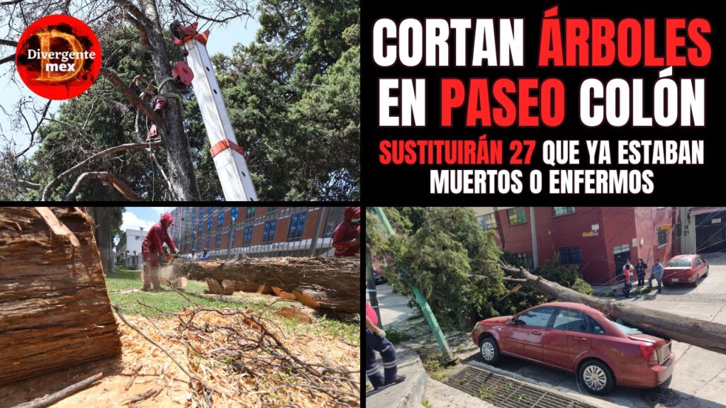 portada cortan árboles en paseo colón