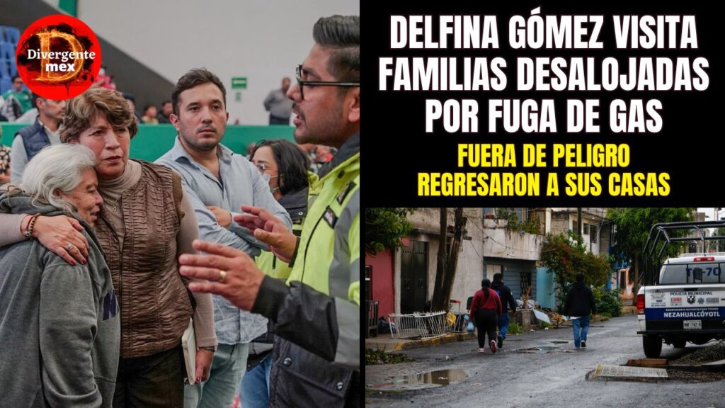 portada delfina fuga de gas