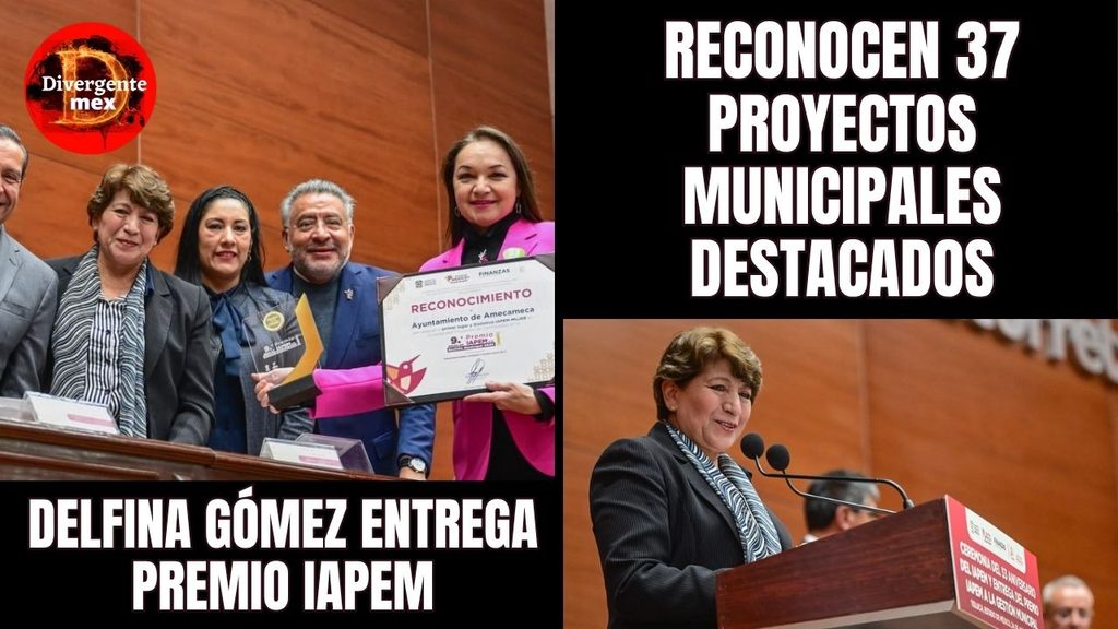 portada delfina iapem