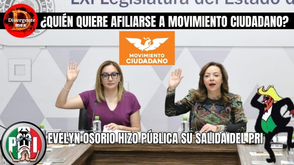 portada evelyn deja el pri