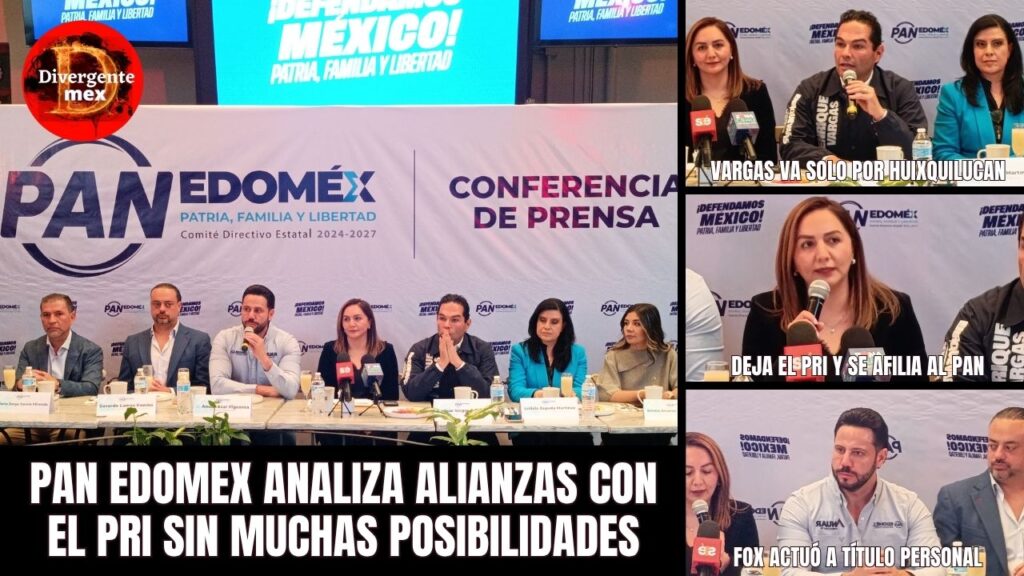 portada panazis