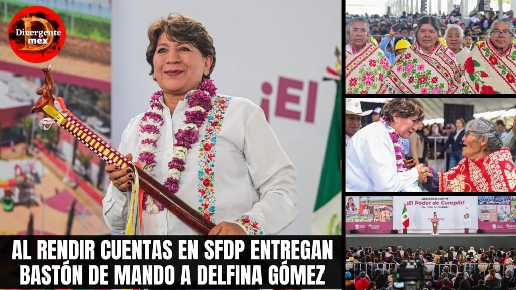 PORTADA DELFINA EN SANFE