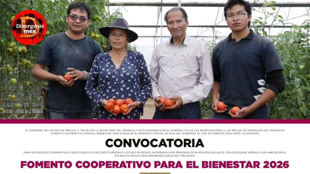 portada convocatoria cooperativas